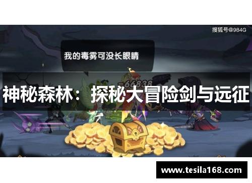 神秘森林：探秘大冒险剑与远征