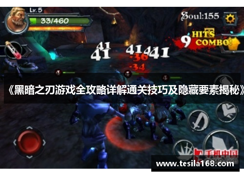 《黑暗之刃游戏全攻略详解通关技巧及隐藏要素揭秘》