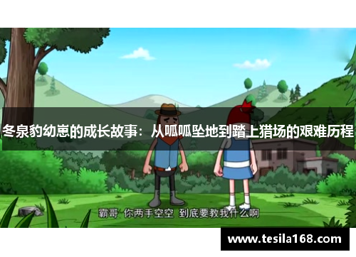 冬泉豹幼崽的成长故事：从呱呱坠地到踏上猎场的艰难历程